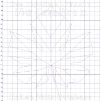 foglia ampelometrica