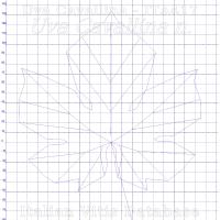 foglia ampelometrica