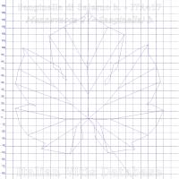 foglia ampelometrica