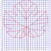 foglia ampelometrica