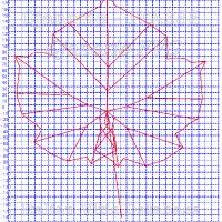 foglia ampelometrica