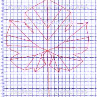 foglia ampelometrica