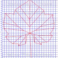 foglia ampelometrica