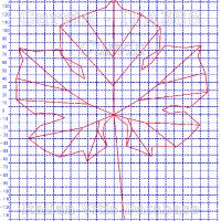 foglia ampelometrica