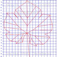 foglia ampelometrica
