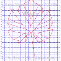 foglia ampelometrica