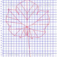 foglia ampelometrica