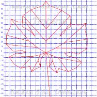 foglia ampelometrica