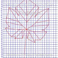 foglia ampelometrica