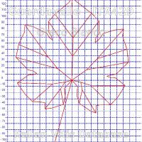 foglia ampelometrica