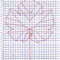 foglia ampelometrica