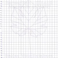 foglia ampelometrica