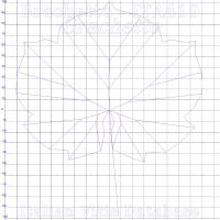 foglia ampelometrica