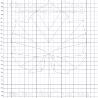 foglia ampelometrica