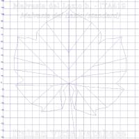 foglia ampelometrica