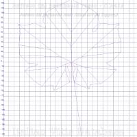 foglia ampelometrica