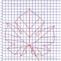 foglia ampelometrica