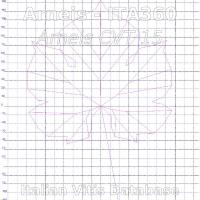 foglia ampelometrica