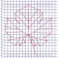 foglia ampelometrica