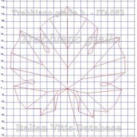 foglia ampelometrica