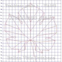 foglia ampelometrica