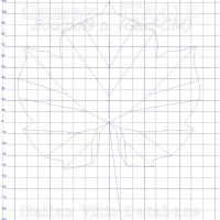 foglia ampelometrica