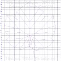 foglia ampelometrica