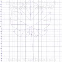 foglia ampelometrica