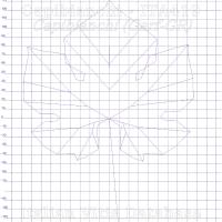 foglia ampelometrica