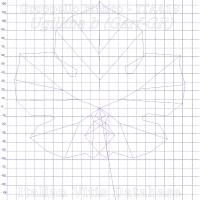 foglia ampelometrica